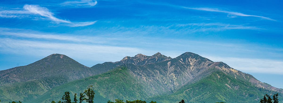 株式会社フジメック 会社情報 事業拠点